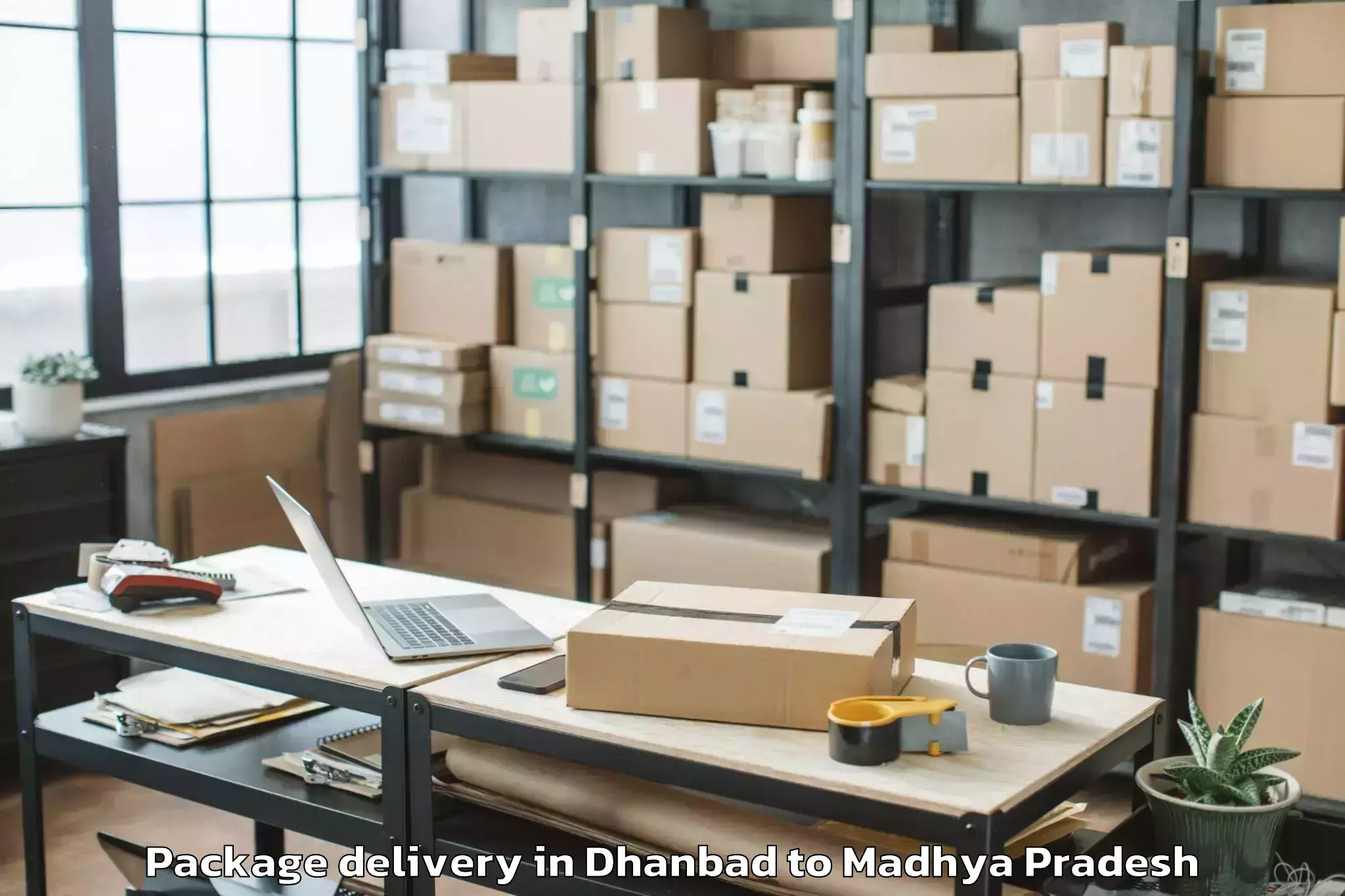 Professional Dhanbad to Badnagar Package Delivery